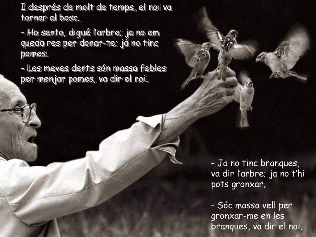 I després de molt de temps, el noi va tornar al bosc.