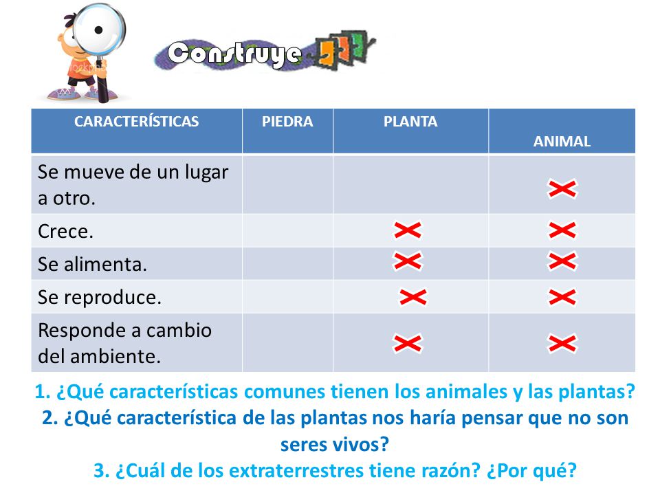 Construye Se mueve de un lugar a otro. Crece. Se alimenta.