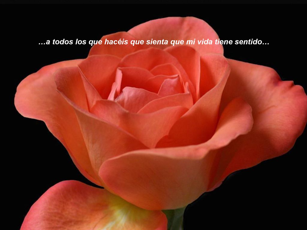 …a todos los que hacéis que sienta que mi vida tiene sentido…