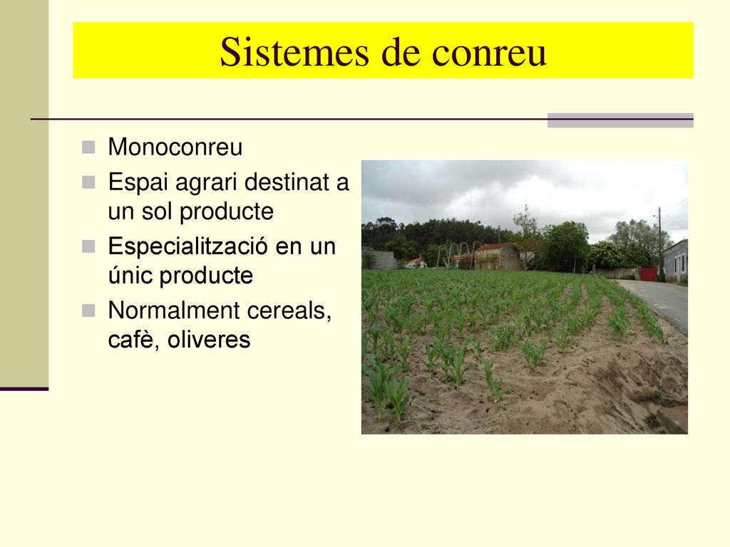Sistemes de conreu Monoconreu Espai agrari destinat a un sol producte