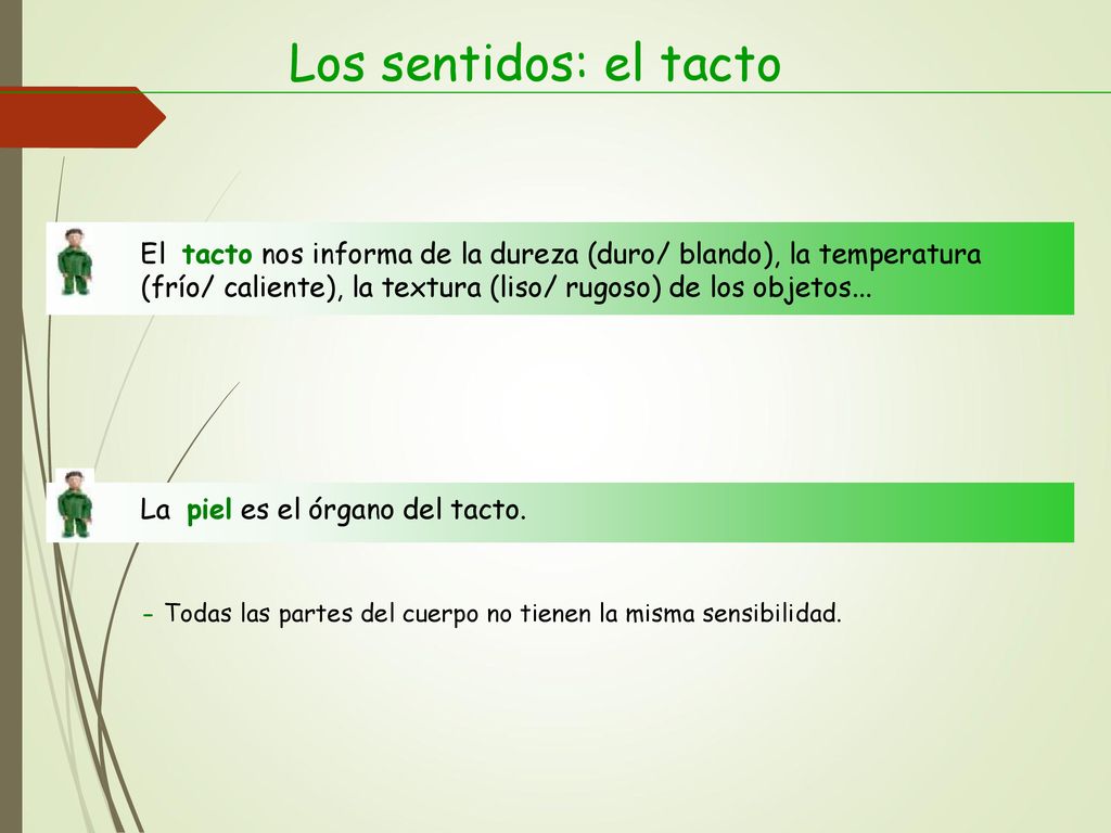 Los sentidos: el tacto El tacto nos informa de la dureza (duro/ blando), la temperatura.