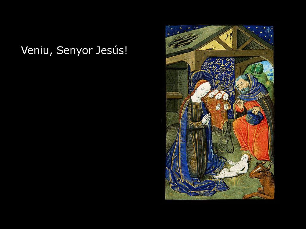 ...i us puguem acollir amb un cor sincer i confiat. Veniu, Senyor Jesús!