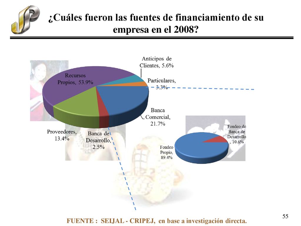 ¿Cuáles fueron las fuentes de financiamiento de su empresa en el 2008