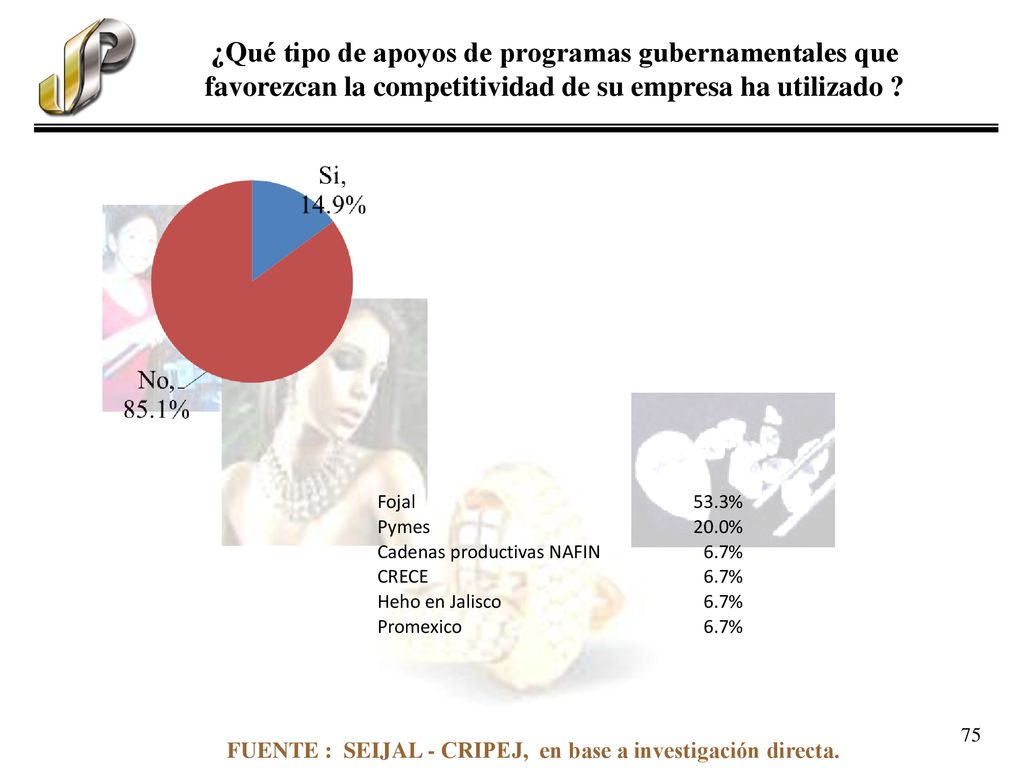 ¿Qué tipo de apoyos de programas gubernamentales que favorezcan la competitividad de su empresa ha utilizado