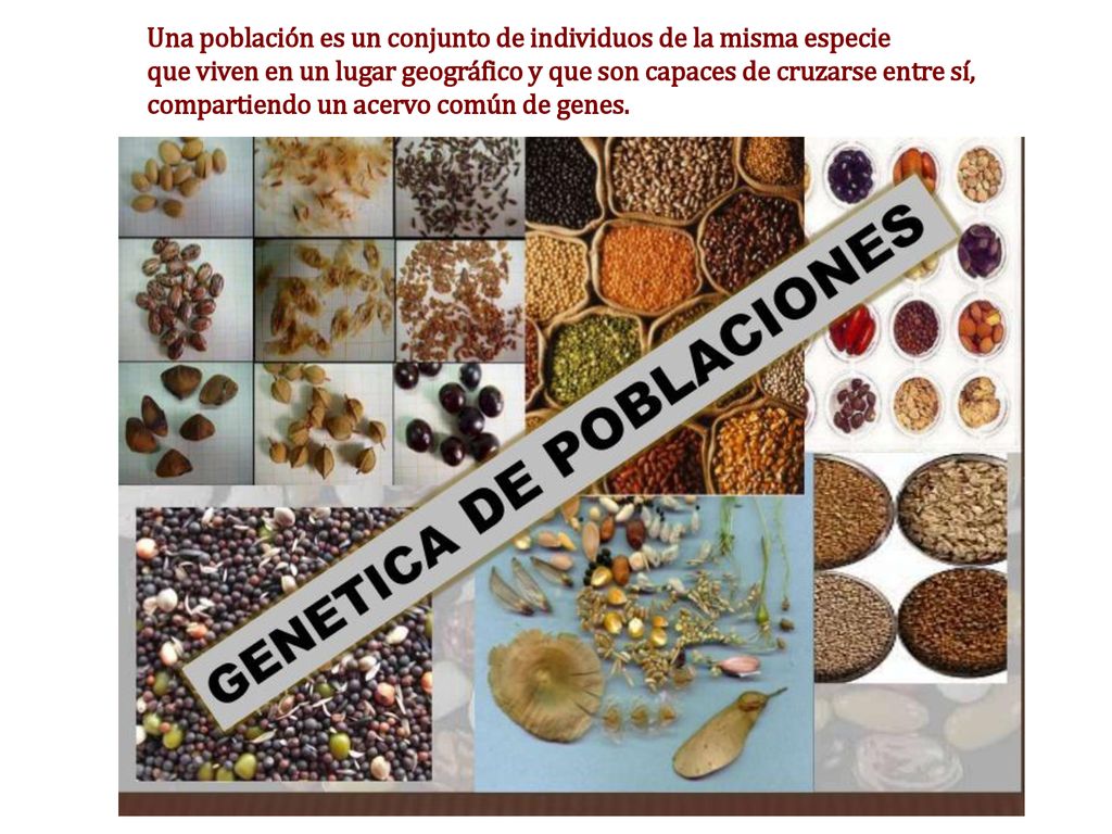 Una población es un conjunto de individuos de la misma especie