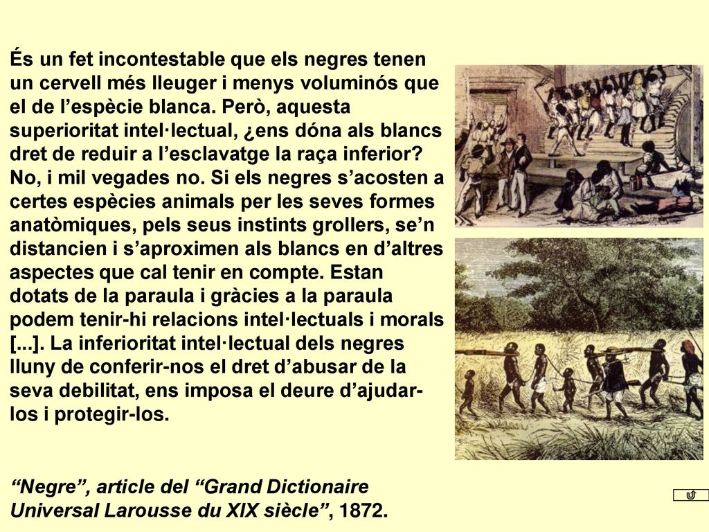 És un fet incontestable que els negres tenen un cervell més lleuger i menys voluminós que el de l’espècie blanca. Però, aquesta superioritat intel·lectual, ¿ens dóna als blancs dret de reduir a l’esclavatge la raça inferior No, i mil vegades no. Si els negres s’acosten a certes espècies animals per les seves formes anatòmiques, pels seus instints grollers, se’n distancien i s’aproximen als blancs en d’altres aspectes que cal tenir en compte. Estan dotats de la paraula i gràcies a la paraula podem tenir-hi relacions intel·lectuals i morals [...]. La inferioritat intel·lectual dels negres lluny de conferir-nos el dret d’abusar de la seva debilitat, ens imposa el deure d’ajudar- los i protegir-los.