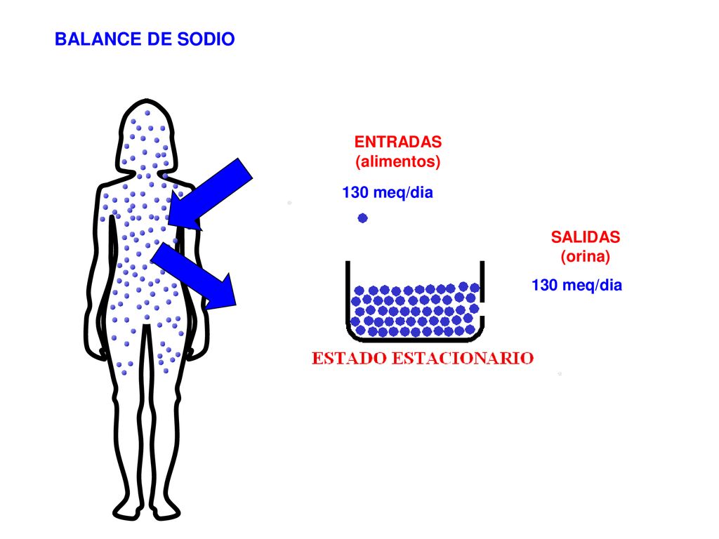 BALANCE DE SODIO ENTRADAS (alimentos) 130 meq/dia SALIDAS (orina)