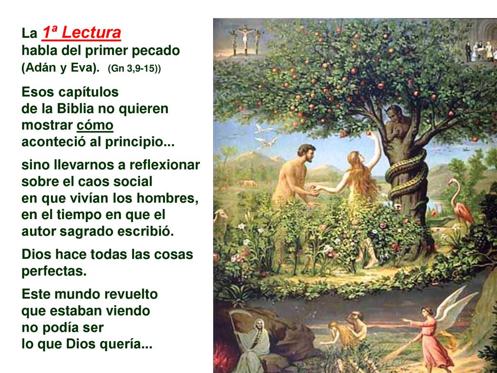 La 1ª Lectura habla del primer pecado (Adán y Eva). (Gn 3,9-15))