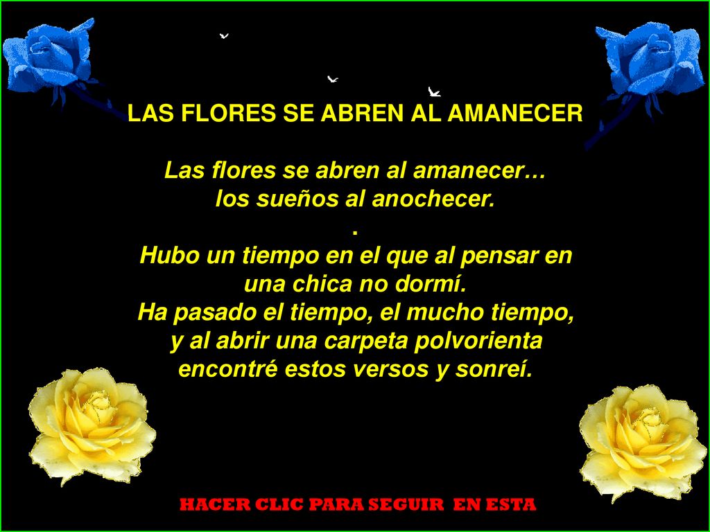 LAS FLORES SE ABREN AL AMANECER Las flores se abren al amanecer…