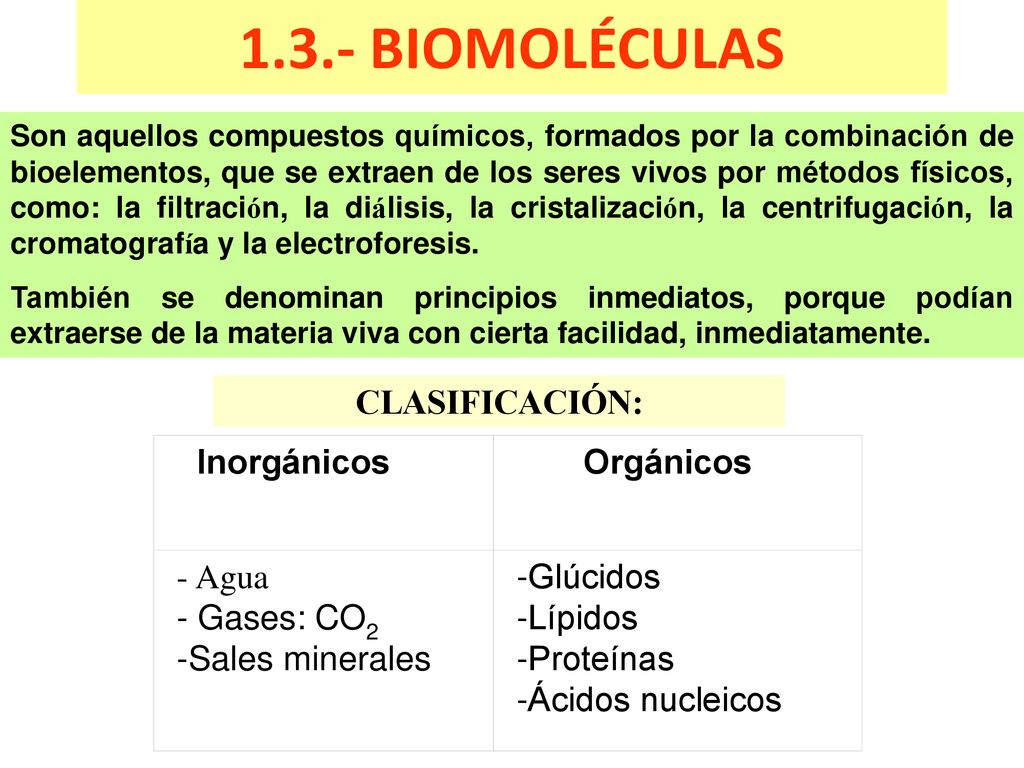 1.3.- BIOMOLÉCULAS CLASIFICACIÓN: - Agua - Gases: CO2 -Sales minerales