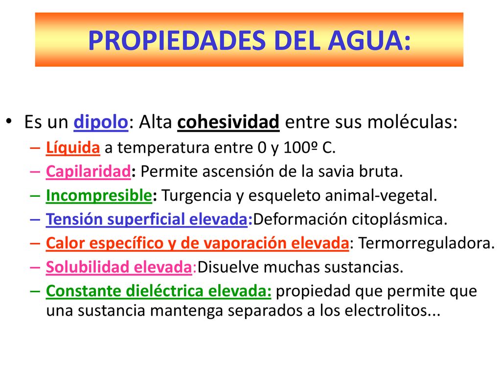 PROPIEDADES DEL AGUA: Es un dipolo: Alta cohesividad entre sus moléculas: Líquida a temperatura entre 0 y 100º C.
