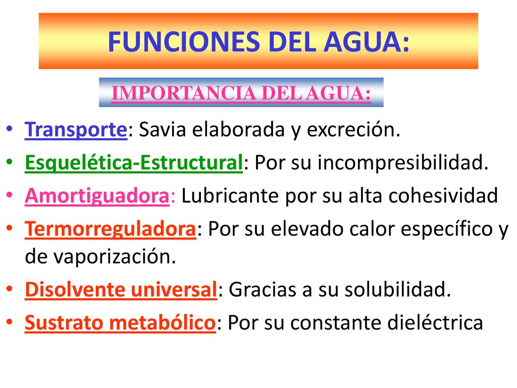 FUNCIONES DEL AGUA: Transporte: Savia elaborada y excreción.