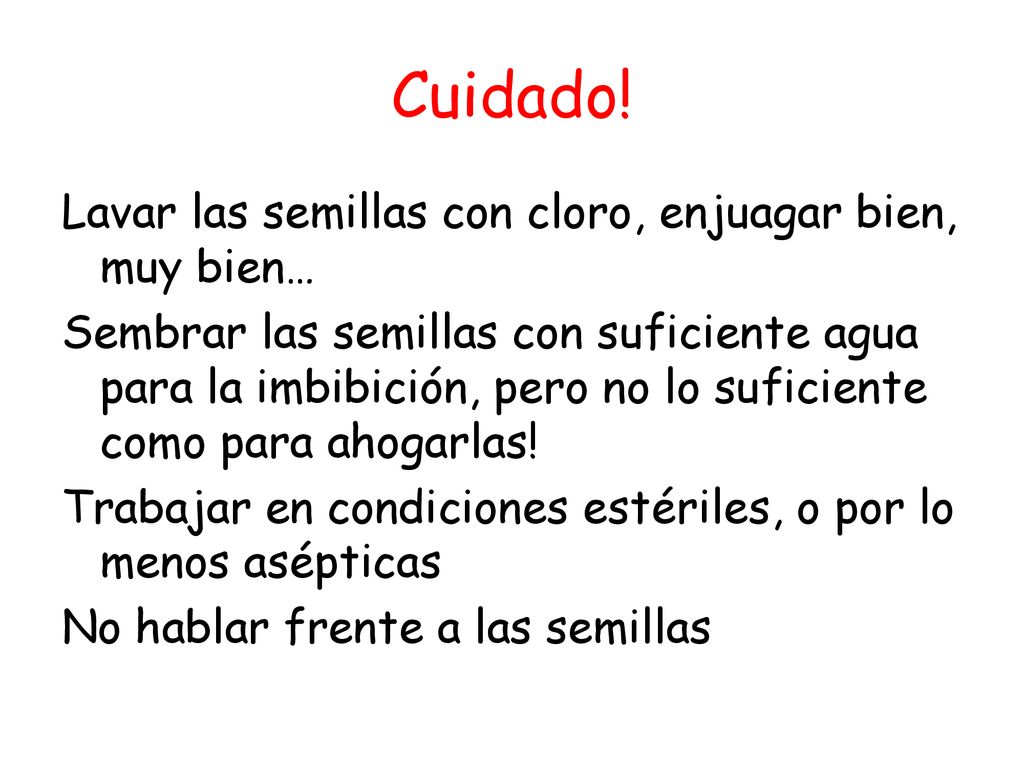 Cuidado! Lavar las semillas con cloro, enjuagar bien, muy bien…