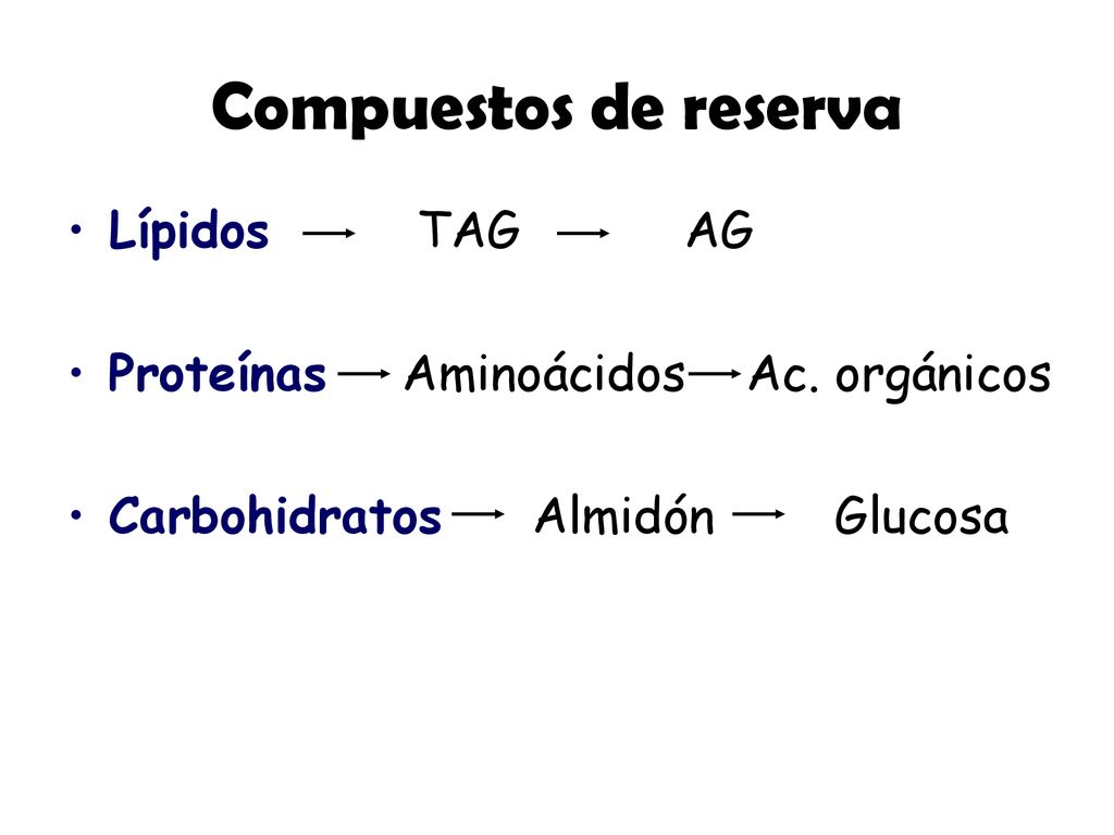 Compuestos de reserva Lípidos TAG AG