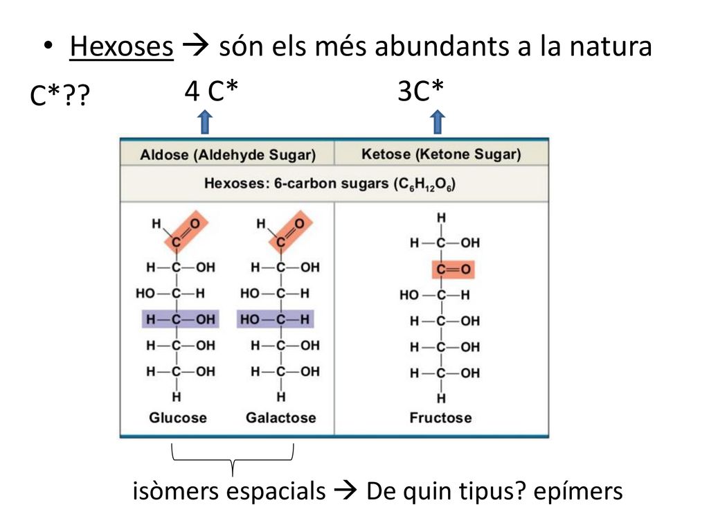 Hexoses  són els més abundants a la natura 4 C* 3C* C*