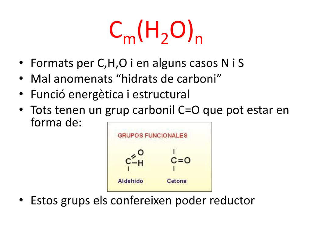 Cm(H2O)n Formats per C,H,O i en alguns casos N i S