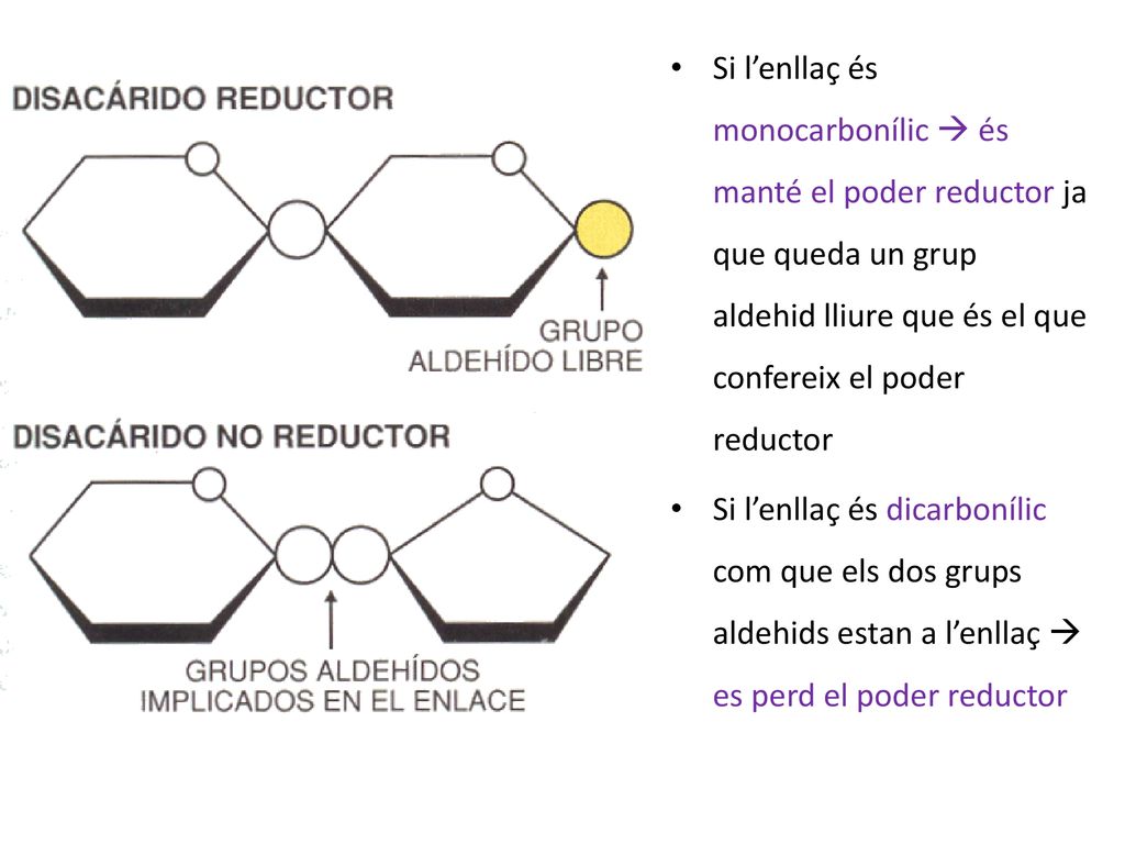 Si l’enllaç és monocarbonílic  és manté el poder reductor ja que queda un grup aldehid lliure que és el que confereix el poder reductor