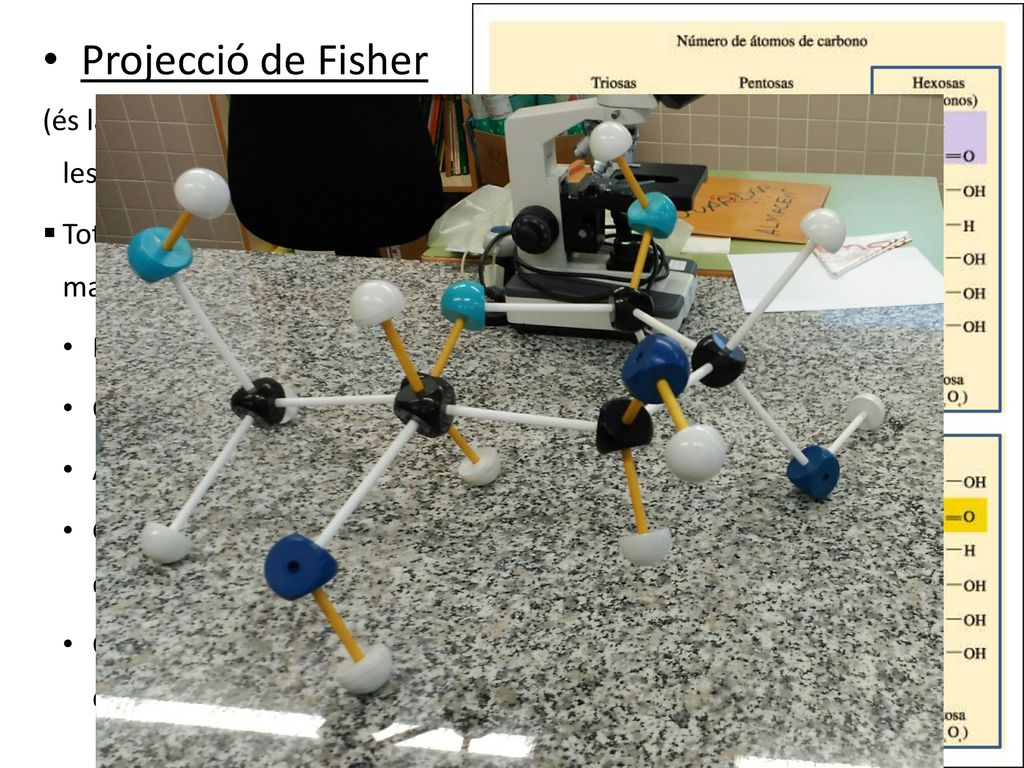Projecció de Fisher (és la forma de representar en 2D les molècules 3D) Tots els àtoms es situen en el mateix pla.