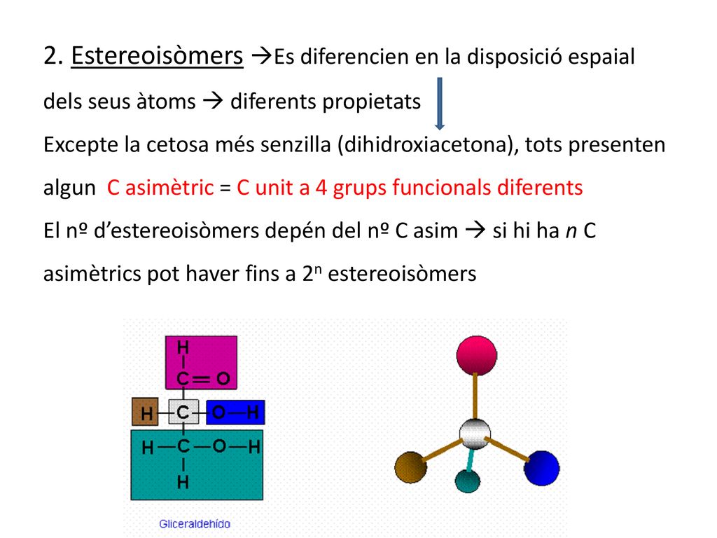 2. Estereoisòmers Es diferencien en la disposició espaial dels seus àtoms  diferents propietats