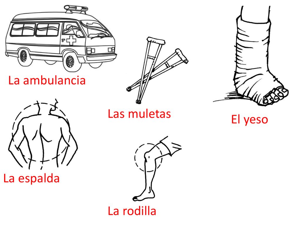 La ambulancia Las muletas El yeso La espalda La rodilla