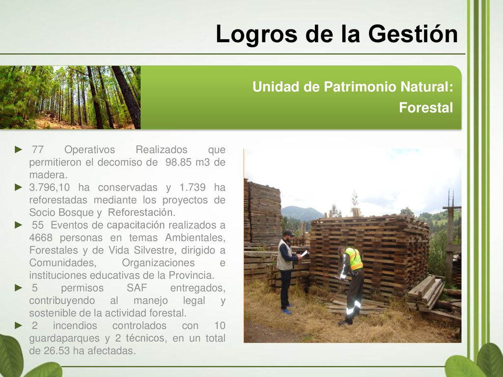 Logros de la Gestión Forestal Unidad de Patrimonio Natural: