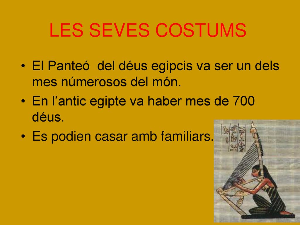 LES SEVES COSTUMS El Panteó del déus egipcis va ser un dels mes númerosos del món. En l’antic egipte va haber mes de 700 déus.
