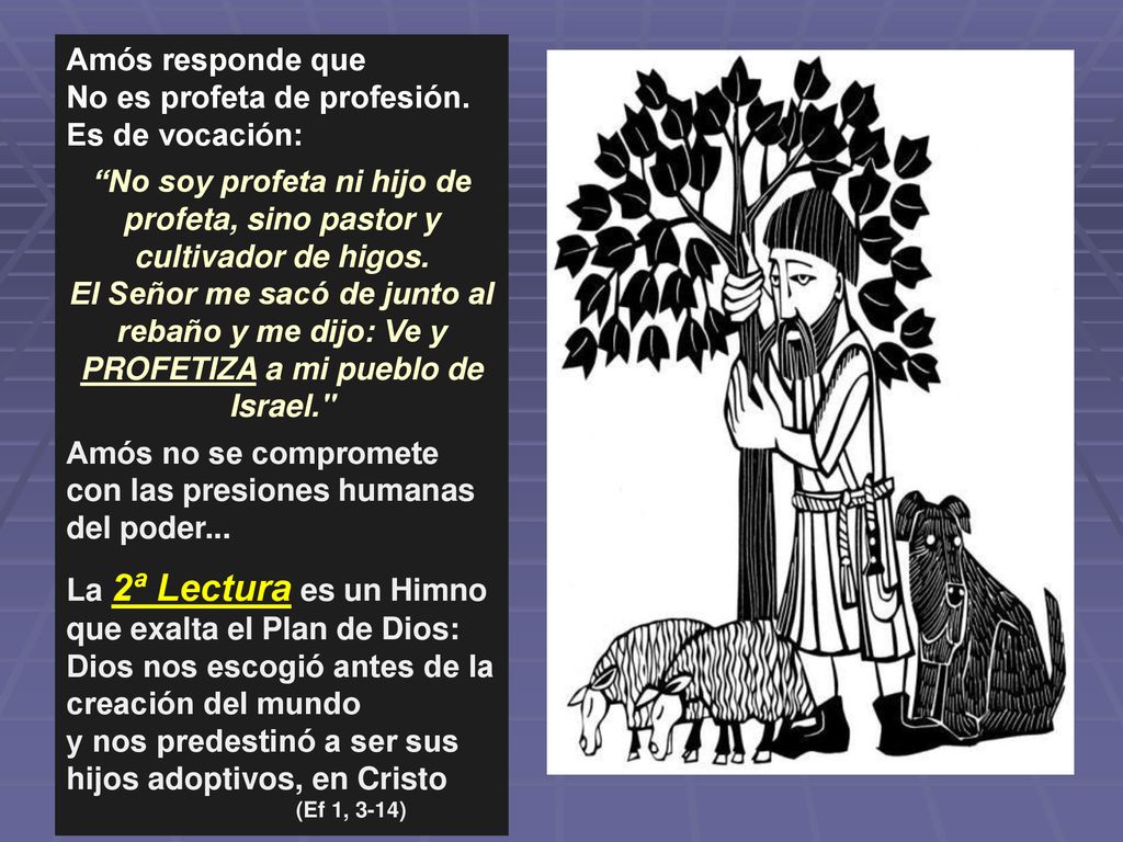 No soy profeta ni hijo de profeta, sino pastor y cultivador de higos.