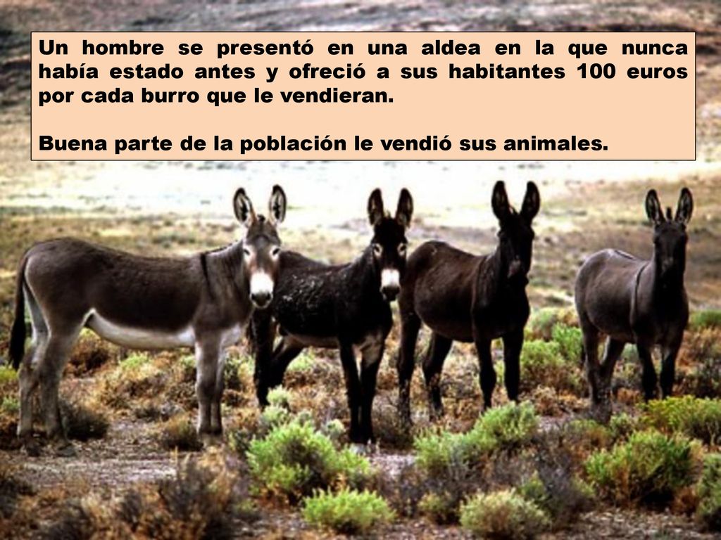 Un hombre se presentó en una aldea en la que nunca había estado antes y ofreció a sus habitantes 100 euros por cada burro que le vendieran.