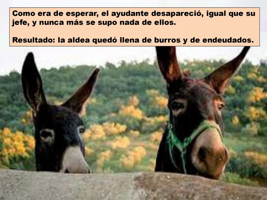 Como era de esperar, el ayudante desapareció, igual que su jefe, y nunca más se supo nada de ellos.