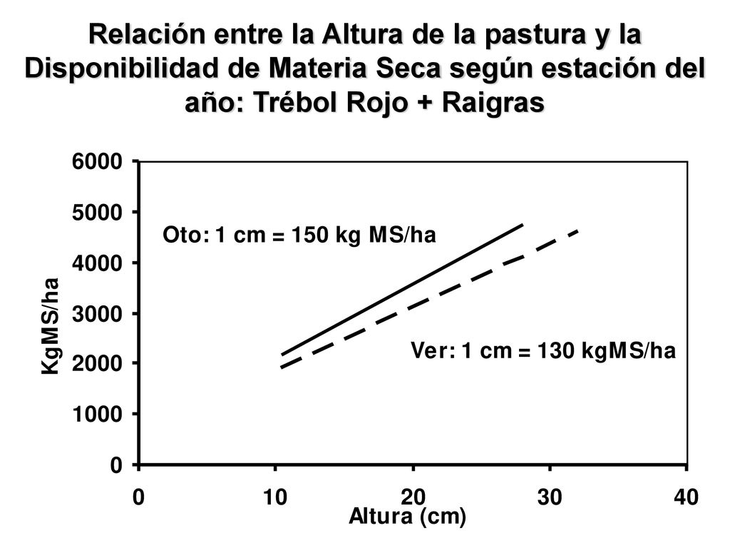 Relación entre la Altura de la pastura y la Disponibilidad de Materia Seca según estación del año: Trébol Rojo + Raigras