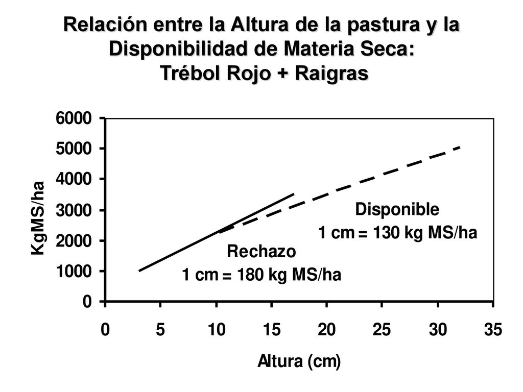Relación entre la Altura de la pastura y la Disponibilidad de Materia Seca: Trébol Rojo + Raigras