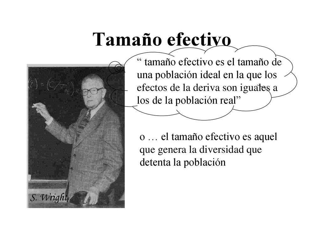 Tamaño efectivo tamaño efectivo es el tamaño de una población ideal en la que los efectos de la deriva son iguales a los de la población real