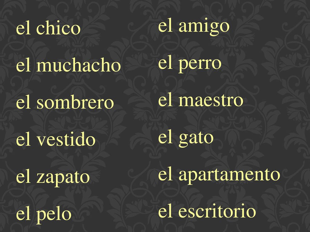 el amigo el perro. el maestro. el gato. el apartamento. el escritorio. el chico. el muchacho.