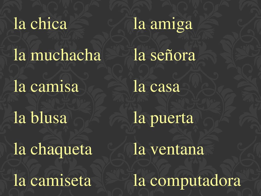 la chica la muchacha. la camisa. la blusa. la chaqueta. la camiseta. la amiga. la señora. la casa.