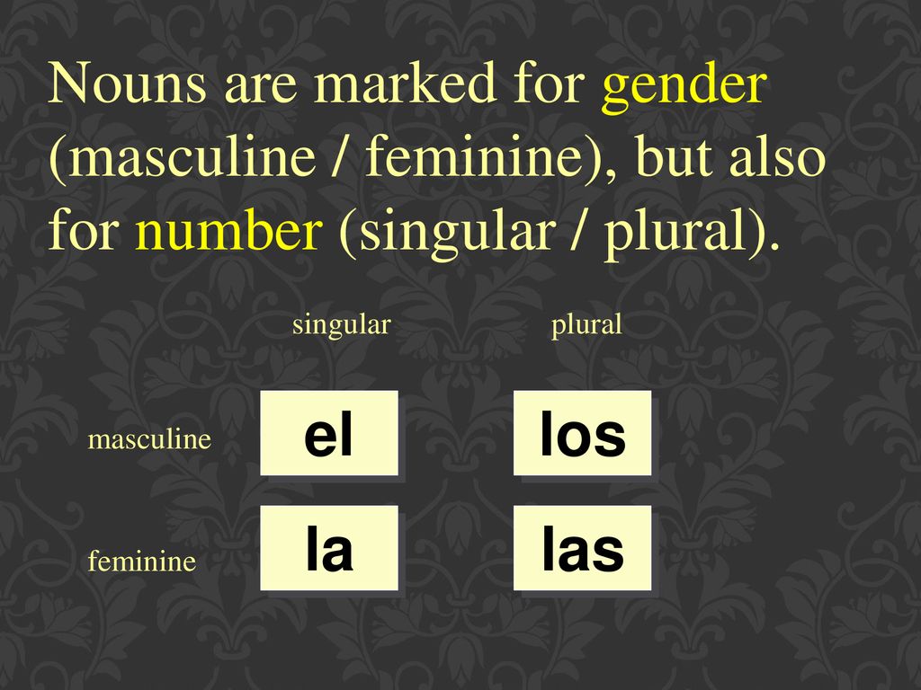 Nouns are marked for gender (masculine / feminine), but also for number (singular / plural).