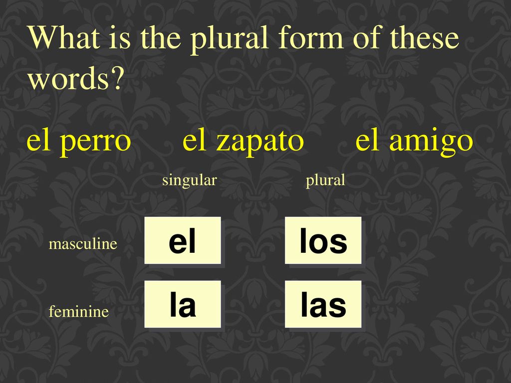 What is the plural form of these words el perro el zapato el amigo