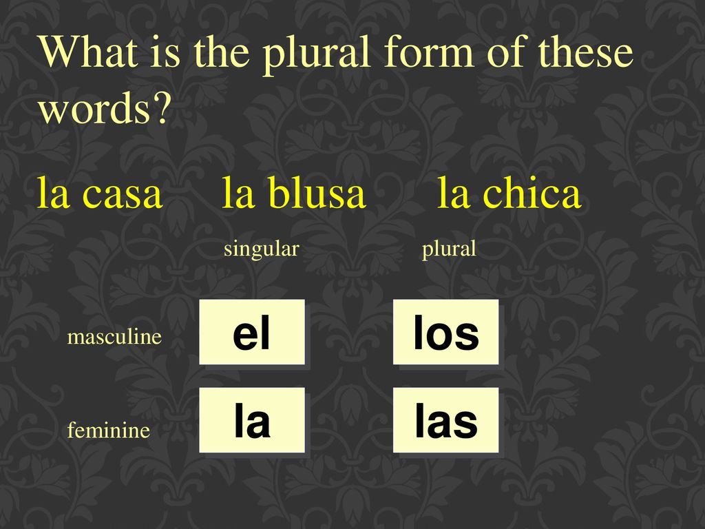 What is the plural form of these words la casa la blusa la chica