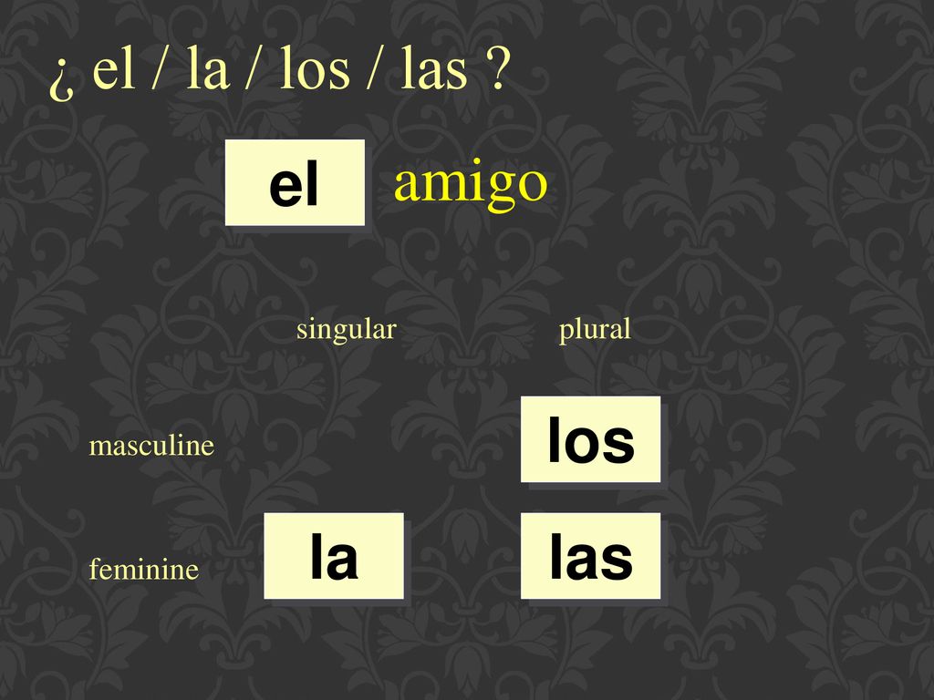 ¿ el / la / los / las amigo el los la las singular plural masculine