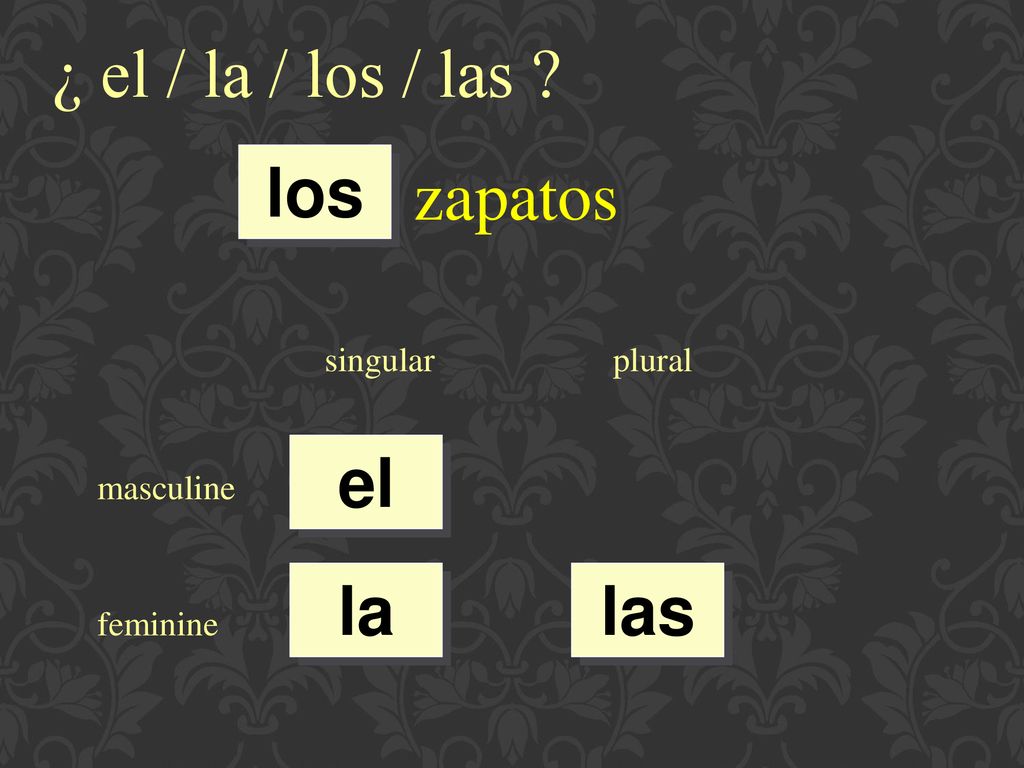 ¿ el / la / los / las zapatos los el la las singular plural