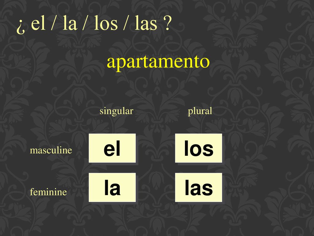 ¿ el / la / los / las apartamento el los la las singular plural