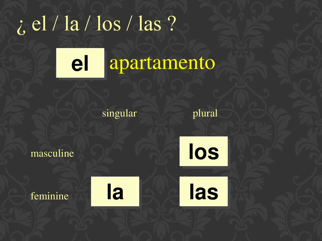 ¿ el / la / los / las apartamento el los la las singular plural