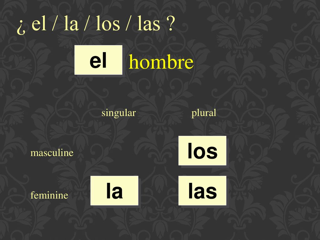 ¿ el / la / los / las hombre el los la las singular plural masculine