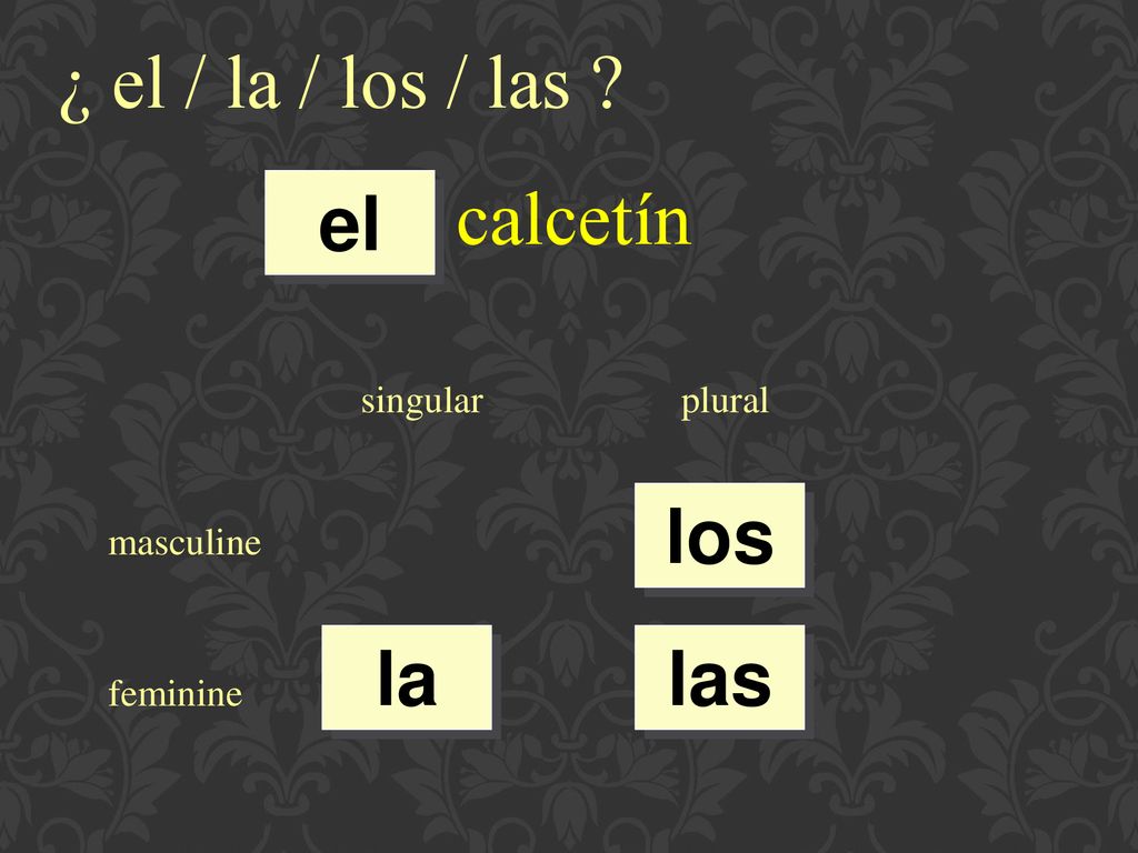¿ el / la / los / las calcetín el los la las singular plural
