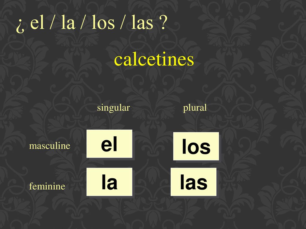 ¿ el / la / los / las calcetines el los la las singular plural