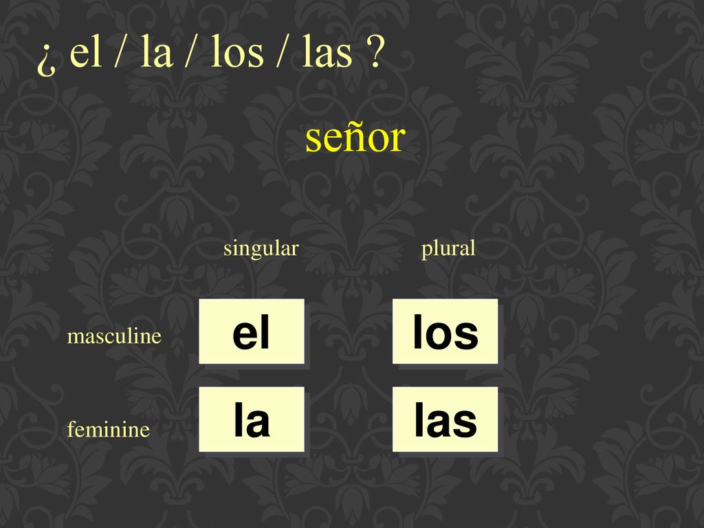¿ el / la / los / las señor el los la las singular plural masculine