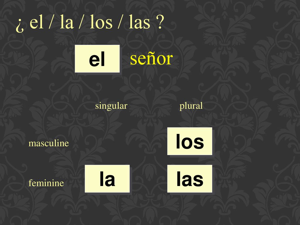 ¿ el / la / los / las señor el los la las singular plural masculine