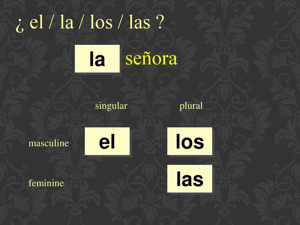 ¿ el / la / los / las señora la el los las singular plural masculine