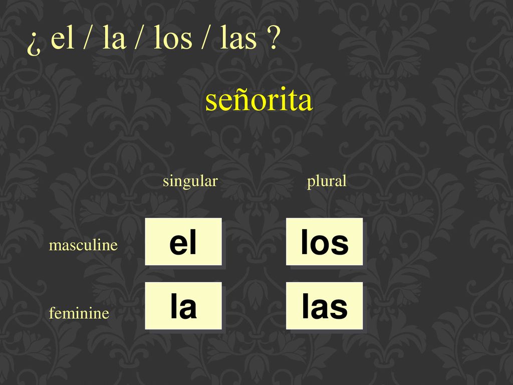 ¿ el / la / los / las señorita el los la las singular plural