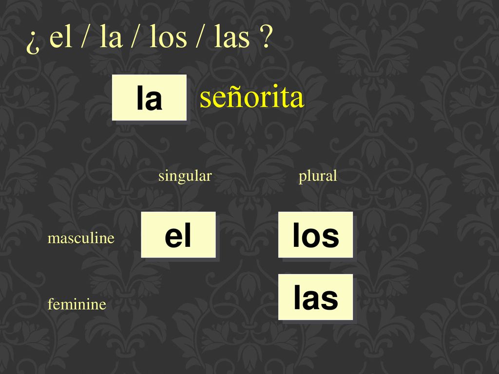¿ el / la / los / las señorita la el los las singular plural