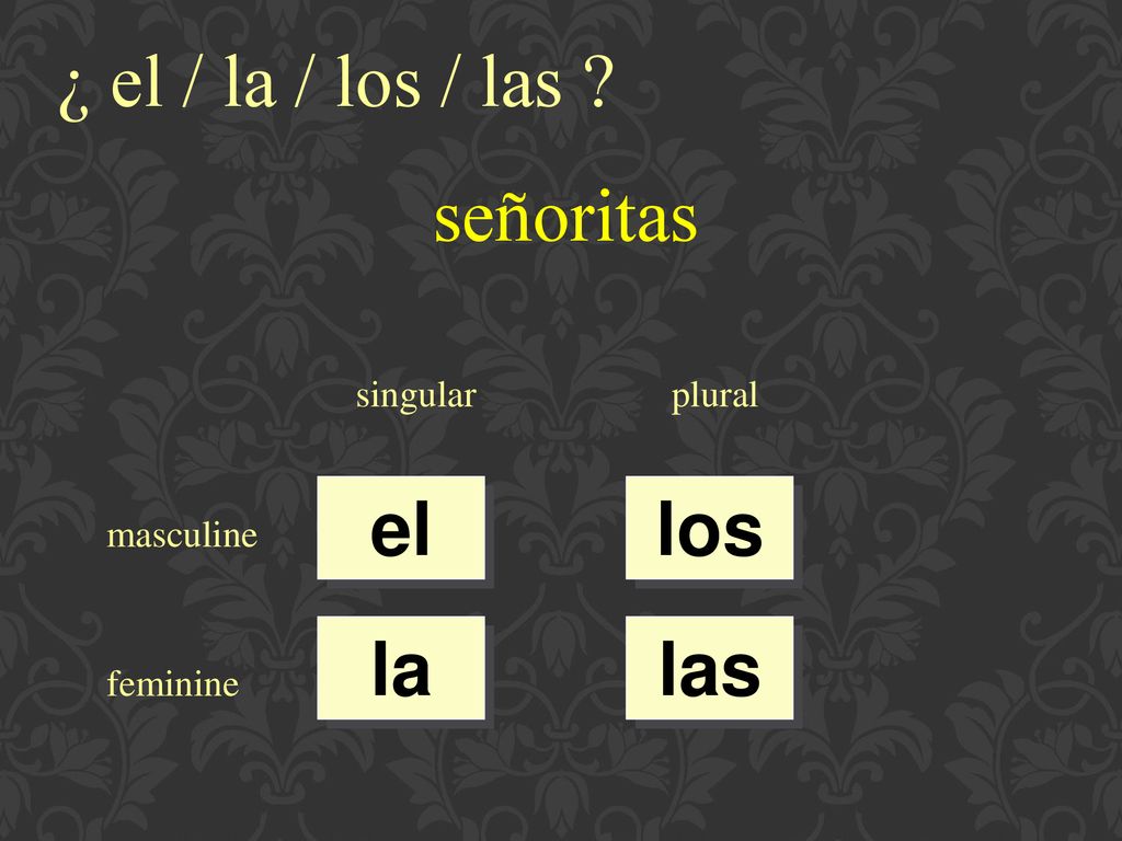 ¿ el / la / los / las señoritas el los la las singular plural